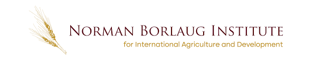 Norman Borlaug Institute for International Agriculture and Development logo