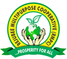 Rejubee Multipurpose Cooperative Society
 logo